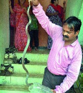 Snake under stone, bath on him, bath on him | दगडाखाली नाग, त्याच्यावरच स्नान Snake under stone, bath on him, bath on him | दगडाखाली नाग, त्याच्यावरच स्नान