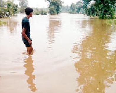 Extremely heavy water | अतिवृष्टीने सालेकसा जलमय