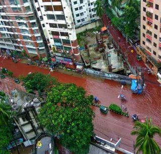 VIDEO: Flood of blood circulated in the streets on the streets of Bakri Eid in Bangladesh | VIDEO: बांगलादेशमध्ये बकरी ईदनिमित्त रस्त्यांवर वाहिला रक्ताचा महापूर