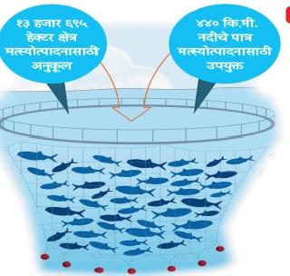 Fisheries business risk due to inadequate storage. | अपु-या जलसाठय़ामुळे मत्स्य व्यवसाय धोक्यात!