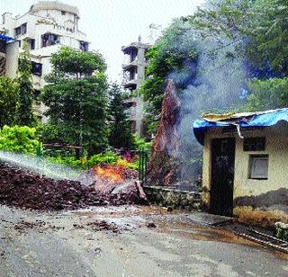 The gas pipeline bursting fire while breaking the tree | झाड तोडताना गॅस पाइपलाइन फुटून आग