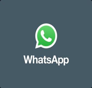 The Whatsapp app also gave the option to 'tag' | व्हॉटस अॅपनेही दिली 'टॅग' करायची सोय