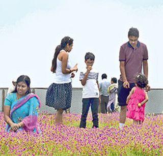 Flowers to freedom. | फुलांना आस स्वातंत्र्याची..