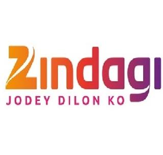 Zee Group will do Pakistan series on 'Zindagi' | झी समूह 'जिंदगी'वरील पाकिस्तानी मालिका करणार बॅन