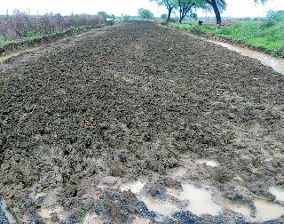 Pond road disturbance | पांदण रस्त्यांची दुरवस्था