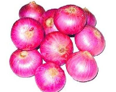 Onion subsidy benefits will be justified by farmers | कांदा अनुदानाचा लाभ ठरावीक शेतकऱ्यांनाच Onion subsidy benefits will be justified by farmers | कांदा अनुदानाचा लाभ ठरावीक शेतकऱ्यांनाच