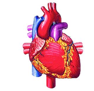 Take care, avoid heart disease! | दक्षता घ्या, हृदयविकार टाळा!