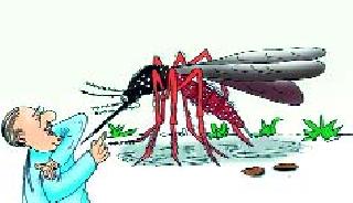 'Fertility Dengue, Increase in Disease | ‘ताप’दायक डेंग्यू, रुग्णसंख्येत वाढ 'Fertility Dengue, Increase in Disease | ‘ताप’दायक डेंग्यू, रुग्णसंख्येत वाढ