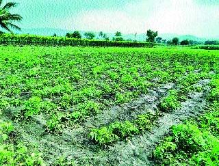 The return of rain fall in the floodplain area | पांढुर्ली परिसराला परतीच्या पावसाचा तडाखा The return of rain fall in the floodplain area | पांढुर्ली परिसराला परतीच्या पावसाचा तडाखा