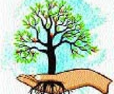 Thirty-five thousand species of native species are planted | मनपाने लावली साडेचार हजार देशी प्रजातीची झाडे Thirty-five thousand species of native species are planted | मनपाने लावली साडेचार हजार देशी प्रजातीची झाडे