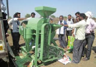 Shegaon farmers build dal flour mill | शेगावच्या शेतकऱ्यांनी उभारला डाळ मिल उद्योग