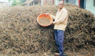 Extreme loss of uradi and soya bean crops | उडीद व सोयाबीन पिकाचे अतिपावसाने नुकसान Extreme loss of uradi and soya bean crops | उडीद व सोयाबीन पिकाचे अतिपावसाने नुकसान
