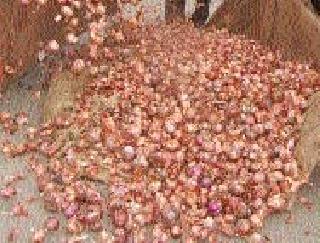 Demand for giving onion demand | कांद्याला हमीभाव देण्याची मागणी