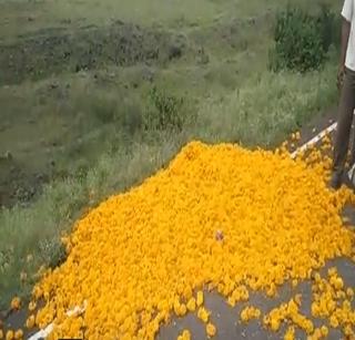 Rs. 5 per kg of marigold flowers at Risod; An angry farmer threw flowers in the street. | रिसोडमध्ये झेंडूच्या फुलांना ५ रुपये किलोचा दर; संतप्त शेतक-याने फुले फेकून दिली रस्त्यावर.