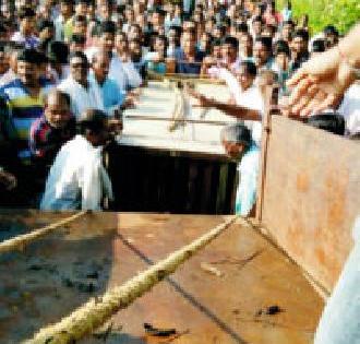 जंगलातील अस्वलाची गावात धमाल