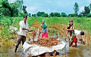 Marathwada in Climate Change | क्लायमेट चेंजच्या गर्तेत मराठवाडा