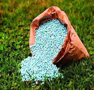 'Fertilizer' in quality! | गुणवत्तेत ‘खते’ नापास!