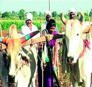 Deepshikha 'Nashari' in Tribal Agriculture | आदिवासींच्या कृषिक्रांतीतील दीपशिखा ‘नासरी’