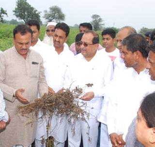 Justice will be given justice to farmers of Soyabean - Vikhe Patil | सोयाबीन उत्पादक शेतक-यांना न्याय देणार- विखे पाटील