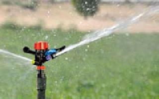 If there are three offspring, the drip subsidy will fall | तीन अपत्य असल्यास ठिबक अनुदानाला ठेंगा If there are three offspring, the drip subsidy will fall | तीन अपत्य असल्यास ठिबक अनुदानाला ठेंगा