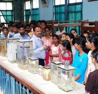 An eclectic museum of human organisms | मानवी अवयवांचे अनोखो म्युझियम