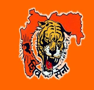 Attempts to attack Shiv Sena chief | शिवसेना शाखाप्रमुखावर हल्ल्याचा प्रयत्न