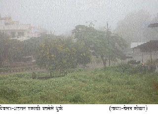 The risk of crops due to fog in Yeola | येवल्यात धुक्यामुळे पिके धोक्यात The risk of crops due to fog in Yeola | येवल्यात धुक्यामुळे पिके धोक्यात