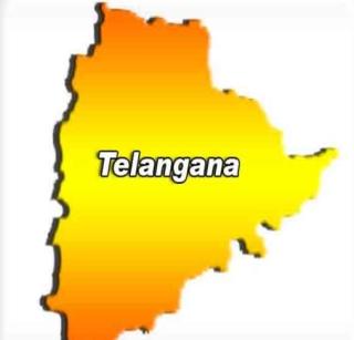 21 new districts in Telangana | तेलंगणात २१ नवीन जिल्हे