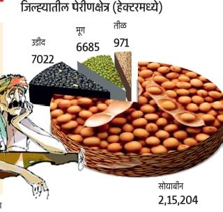 63 thousand hectares affected crops! | ६३ हजार हेक्टरवरील पिके बाधित!