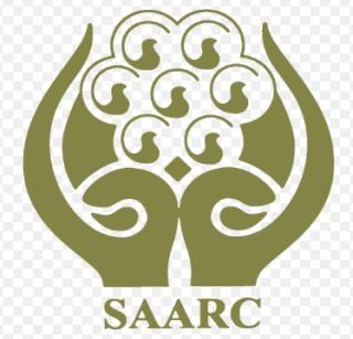 Pakistan's efforts to establish alternative SAARC | पर्यायी सार्क स्थापण्याचा पाकचा प्रयत्न