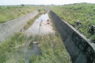The following Wardha project's canal is half-way | निम्न वर्धा प्रकल्पाचा कालवा अर्धवटच The following Wardha project's canal is half-way | निम्न वर्धा प्रकल्पाचा कालवा अर्धवटच
