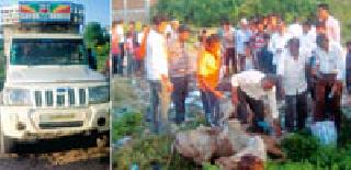 18 animals caught near slaughter house | कत्तलखान्याकडे जाणारी १८ जनावरे पकडली 18 animals caught near slaughter house | कत्तलखान्याकडे जाणारी १८ जनावरे पकडली