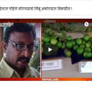 Country's first pickle lemon developed in Akola! | देशात पहिले लोणच्याचे लिंबू अकोल्यात विकसीत !