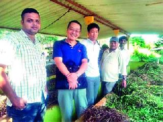 Use Japanese farming in Peth | पेठला जपानी शेतीचा प्रयोग Use Japanese farming in Peth | पेठला जपानी शेतीचा प्रयोग