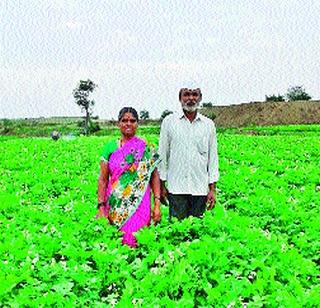 Successful production of potato taken in two acres | दोन एकरांत घेतले बटाट्याचे यशस्वी उत्पादन