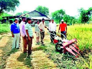 Use of Charsoot rice cultivation | चारसूत्री भात लागवडीचा प्रयोग Use of Charsoot rice cultivation | चारसूत्री भात लागवडीचा प्रयोग