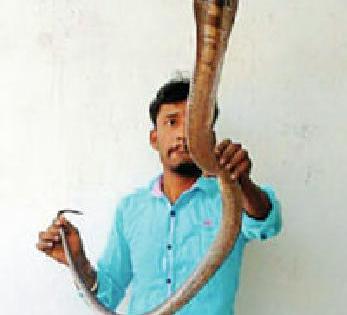 Gave the snake | सापाला दिले जीवदान Gave the snake | सापाला दिले जीवदान