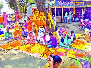 Marigold flowers Rs | झेंडूची फुले एक रु पया किलो