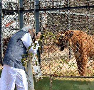 VIDEO - Narendra Modi's Paradise is Safari! | VIDEO - नरेंद्र मोदींची नंदनवन सफारी!