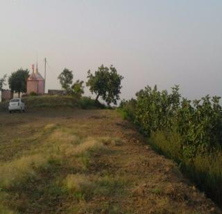 142 trees on two-and-a-half-feet high hills! | अडीचशे फूट उंच टेकडीवर जगविले १४२ वटवृक्ष!