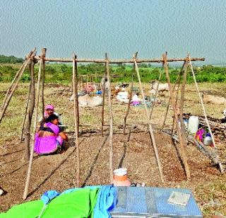 Long time for the workers | ऊसतोड कामगारांची लगबग