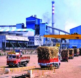 VIDEO - The start of the season of sugar factories | VIDEO- साखर कारखान्यांचा हंगाम सुरू