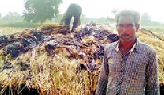 A lot of Dhanera burnt in Gonda | गोंदेडा येथे धानाचे पुंजने जळाले