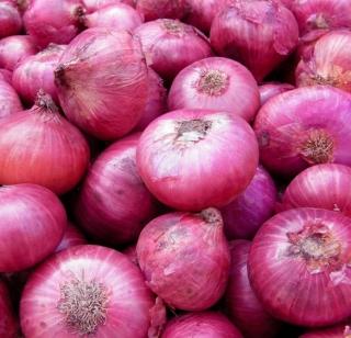 Lemon juice onion market closed due to the rupture of money! | पैशांच्या चणचणीमुळं लोणंदचा कांदा बाजार बंद !