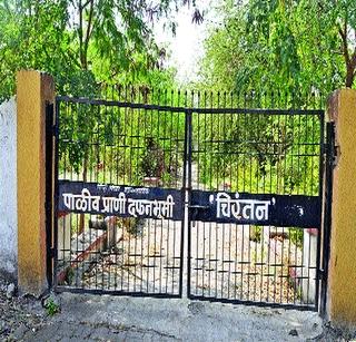 Cemetery for animals | प्राण्यांसाठी दफनभूमी