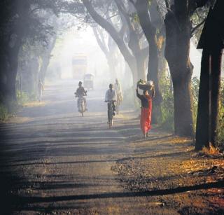 Cold weather due to cloudy weather! | ढगाळ हवामानामुळे राज्यभरातून थंडी पळाली!