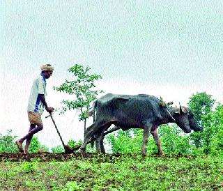 Weather is favorable for Rabbi | रब्बीसाठी हवामान अनुकूल