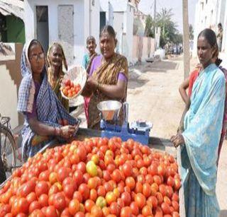 Imagine Modi's fan ... show the toilets, free tomato | मोदींच्या फॅनची शक्कल...शौचालय दाखवा, फुकट टोमॅटो घ्या