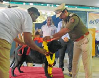 'Happiness' retired after six years | सहा वर्षानंतर ‘खुशी’ निवृत्त 'Happiness' retired after six years | सहा वर्षानंतर ‘खुशी’ निवृत्त