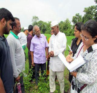 Horticulture lessons from 'tribal people taking tree planters!' | पर्यावण शाळेत’ आदिवासींकडून वृक्षप्रेमी घेताहेत वनऔषधीचे धडे !